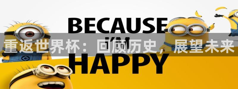 2026足球世界杯赛程：重返世界杯：回顾历史，展望未来