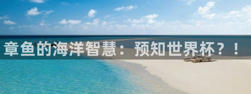 世预赛免费直播入口：章鱼的海洋智慧：预知世界杯？！