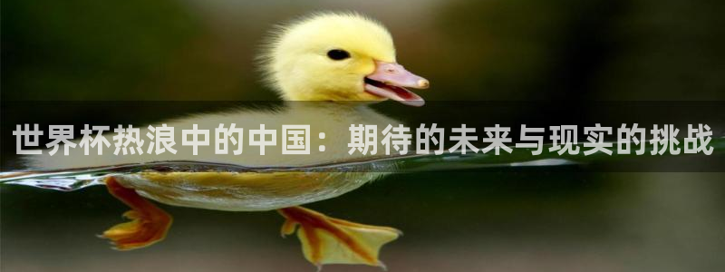 2026足球世界杯赛程：世界杯热浪中的中国：期待的未来与现实的挑战