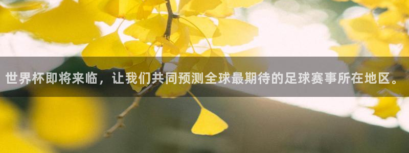 世界杯预赛赛程：世界杯即将来临，让我们共同预测全球最期待的足球赛事所在地区。