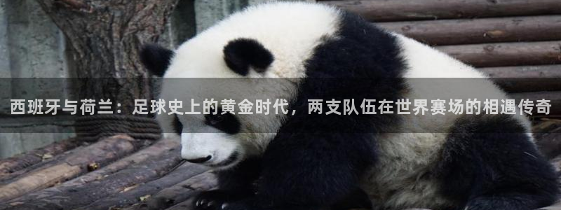 世界杯足球直播：西班牙与荷兰：足球史上的黄金时代，两支队伍在世界赛场的相遇传奇