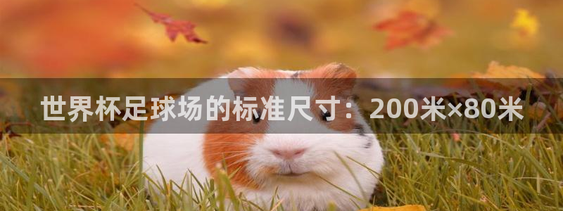 世界杯转播表：世界杯足球场的标准尺寸：200米×80米
