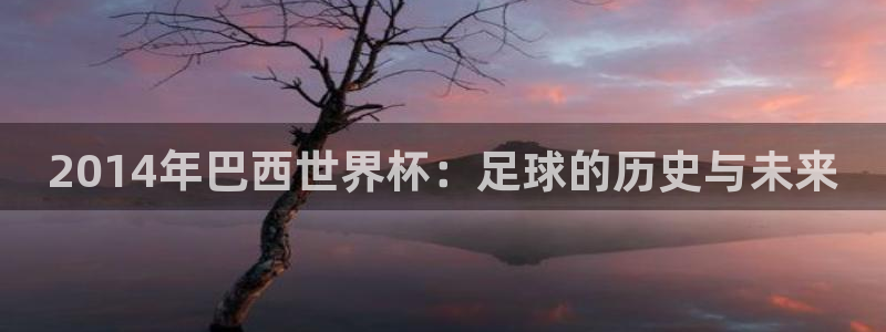 足球杯：2014年巴西世界杯：足球的历史与未来