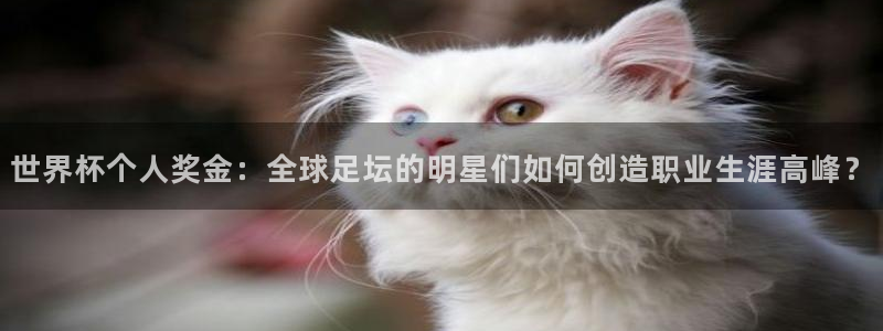 世界杯足球：世界杯个人奖金：全球足坛的明星们如何创造职业生涯高峰？
