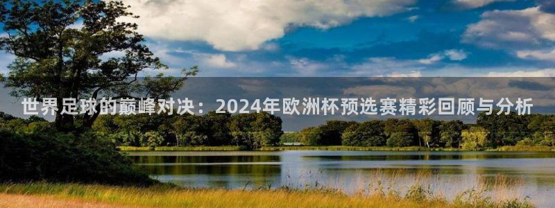 美国世界杯:世界足球的巅峰对决:2024年欧洲杯预选赛精彩回顾与分析