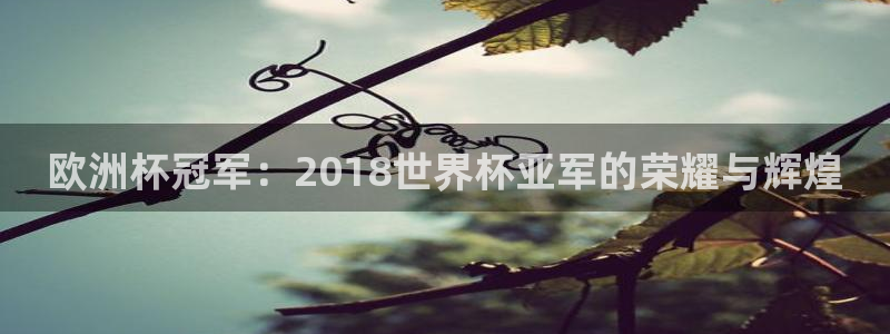 2026世界杯亚洲预选赛：欧洲杯冠军：2018世界杯亚军的荣耀与辉煌