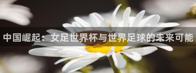 2026年世界杯直播平台：中国崛起：女足世界杯与世界足球的未来可能