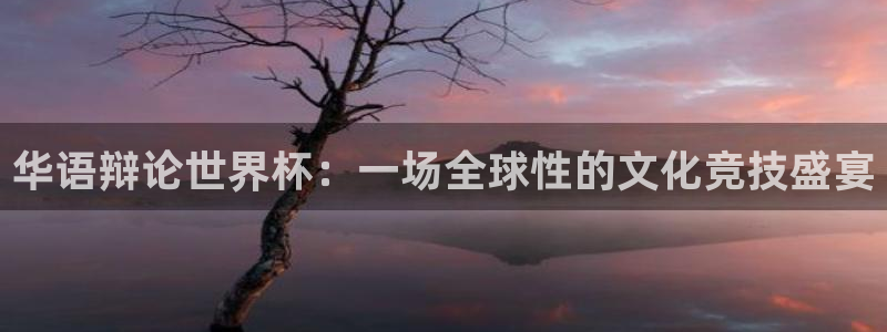 世界杯预选赛亚洲区积分榜：华语辩论世界杯：一场全球性的文化竞技盛宴