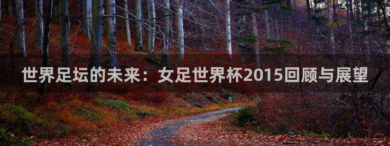 世界杯欧洲区预选赛赛程:世界足坛的未来:女足世界杯2015回顾与展望