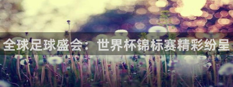 足球世界杯时间：全球足球盛会：世界杯锦标赛精彩纷呈
