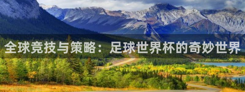 足球比分直播世界杯：全球竞技与策略：足球世界杯的奇妙世界