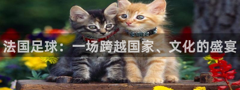 2026世界杯赛程表完整版：法国足球：一场跨越国家、文化的盛宴