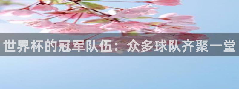 世预赛免费直播入口：世界杯的冠军队伍：众多球队齐聚一堂